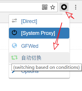 Switch Proxy